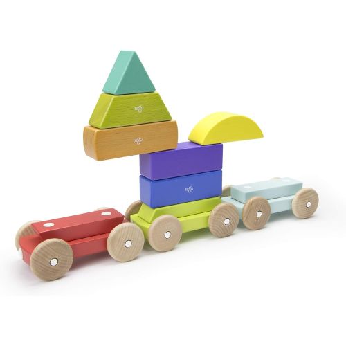  9 Piece Tegu Magnetic Shape Train Building Block Set, Rainbow
