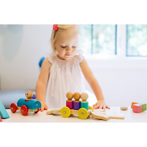  9 Piece Tegu Magnetic Shape Train Building Block Set, Rainbow