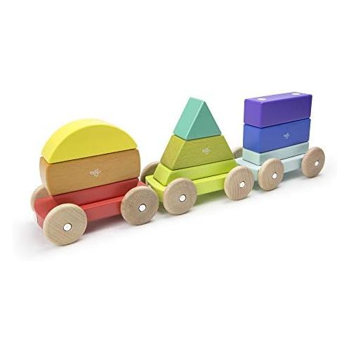  9 Piece Tegu Magnetic Shape Train Building Block Set, Rainbow