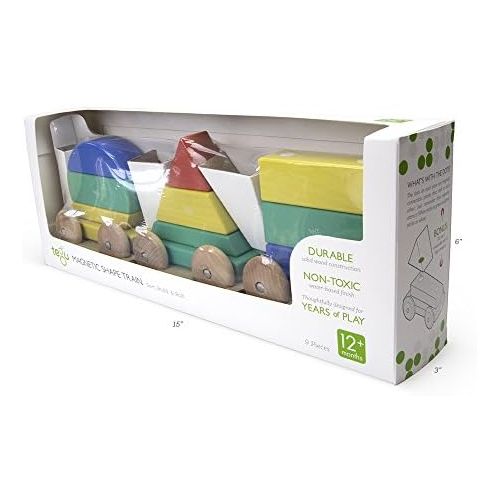  9 Piece Tegu Magnetic Shape Train Building Block Set, Rainbow