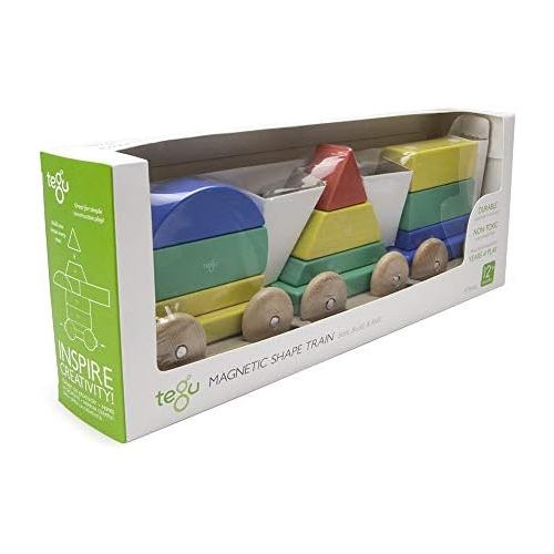  9 Piece Tegu Magnetic Shape Train Building Block Set, Rainbow