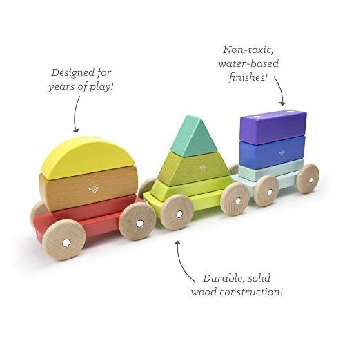  9 Piece Tegu Magnetic Shape Train Building Block Set, Rainbow