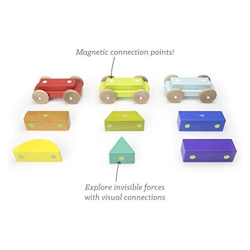  9 Piece Tegu Magnetic Shape Train Building Block Set, Rainbow