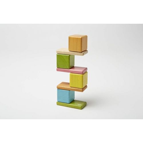  8 Piece Tegu Pocket Pouch Magnetic Wooden Block Set, Tints