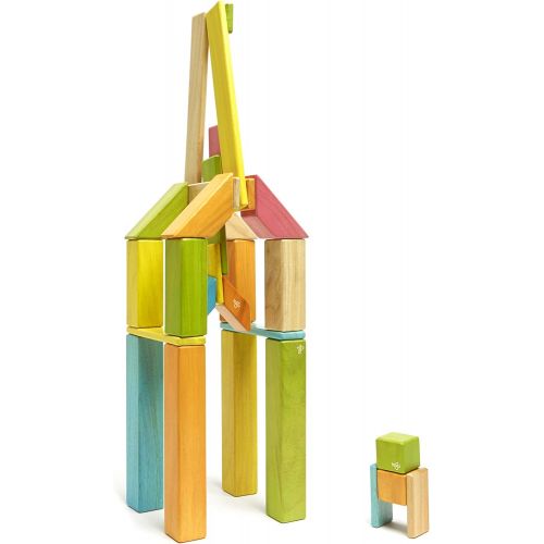  42 Piece Tegu Magnetic Wooden Block Set, Natural