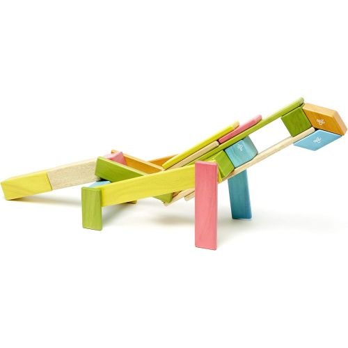  24 Piece Tegu Magnetic Wooden Block Set, Tints