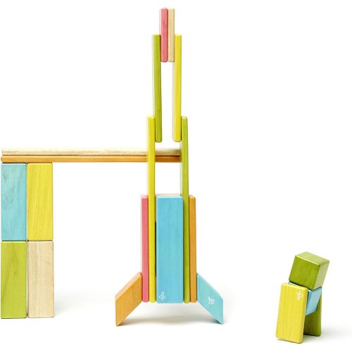  24 Piece Tegu Magnetic Wooden Block Set, Tints