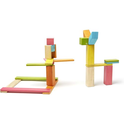  24 Piece Tegu Magnetic Wooden Block Set, Tints