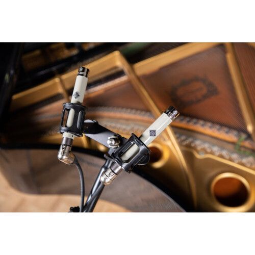  Telefunken ELA M 260 Cardioid Stereo Set Small-Diaphragm Cardioid Tube Condenser Microphones (Matched Pair)