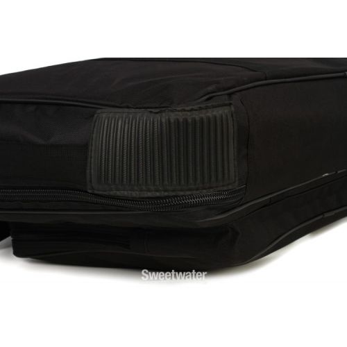  Temple Audio DUO 24 Soft Case