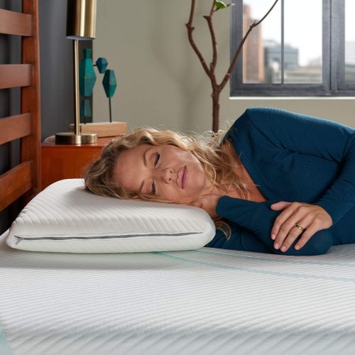 템퍼페딕 [아마존 핫딜] [아마존핫딜]TEMPUR-PEDIC Tempur-Pedic TEMPUR-ProForm Essential Support Pillow, Soft Premium Foam, Washable Cover, Standard