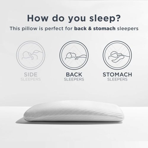 템퍼페딕 [아마존 핫딜] [아마존핫딜]TEMPUR-PEDIC Tempur-Pedic TEMPUR-ProForm Essential Support Pillow, Soft Premium Foam, Washable Cover, Standard