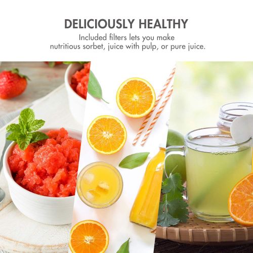  Tenergy Masticating Juicer, Anti-Oxidation Slow Speed Cold Press Juicer, High Nutrient Fresh Vegetable and Fruit Juice Extractor, Easy to Clean Juicer with Jug and Brush