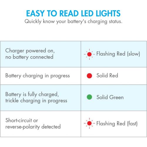  [아마존베스트]Tenergy Smart Charger for 8.4V-9.6V NiMH Battery Packs w/Mini Tamiya Connector + Standard Tamiya Adapter