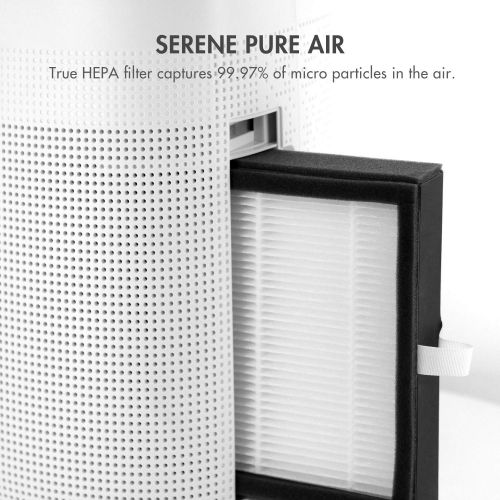  Tenergy Sorbi 1000ml Air Dehumidifier wAir Purifying Function, True HEPA Filter, Auto Shutoff, Touch Control Adjustable Air Speed, Ultra-Quiet Allergies Eliminator, Ideal for Clos