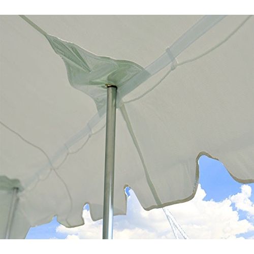  TentandTable 20-Foot by 40-Foot Heavy Duty 14-Ounce Vinyl White Canopy Pole Tent Set with Storage Bag for Weddings, Parties, and Events