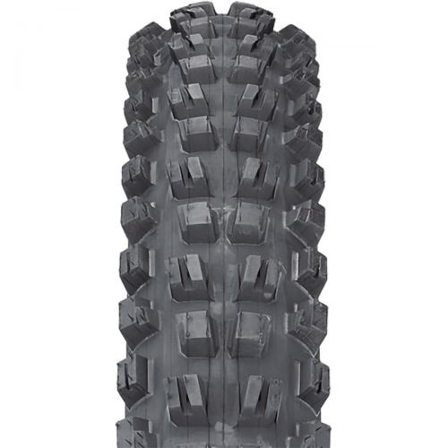  Teravail Kessel Tire - 29in