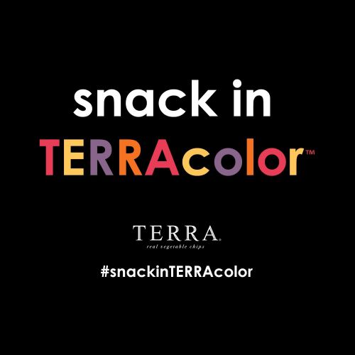  Terra TERRA Spiced Sweet Potato Chips, 6 oz. (Pack of 12)