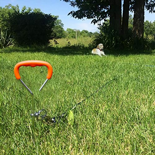  TerriTrophy Dog Tie Out Cable, Dog Stake for Medium to Large Dogs Up to 125 Pounds, Play in The Yard and Lawn, for Camping and Outing