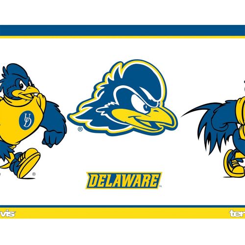  Tervis 1314076 Delaware Blue Hens Tradition Stainless Steel Insulated Tumbler with Lid, 24oz Water Bottle, Silver