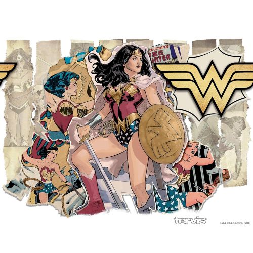  Tervis 1312110 DC Comics - Wonder Woman Lineage Stainless Steel Insulated Tumbler with Lid 24 oz Water Bottle, Silver