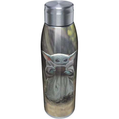  [아마존베스트]Tervis The Child Sipping Insulated Tumbler, 17oz Water Bottle, Stainless Steel