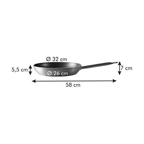  Tescoma Bratpfanne, Plastik, grau, 58.5 x 32.5 x 6.9 cm