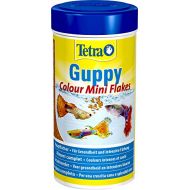 [아마존핫딜]Tetra Guppy Color, Premium Flockenfutter 250ml