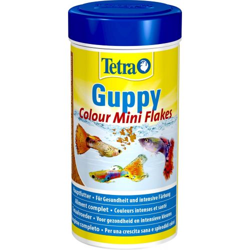  [아마존 핫딜]  [아마존핫딜]Tetra Guppy Color, Premium Flockenfutter 250ml