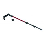 Texsport Companion Adjustable Trekking Pole Walking Hiking Stick with Tungsten Tip for Camping Climbing or Indoors