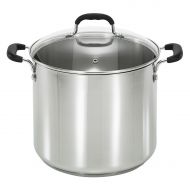 T-fal T-Fal Specialty Stainless Steel 12-Quart Stock Pot with Glass Lid, Silver