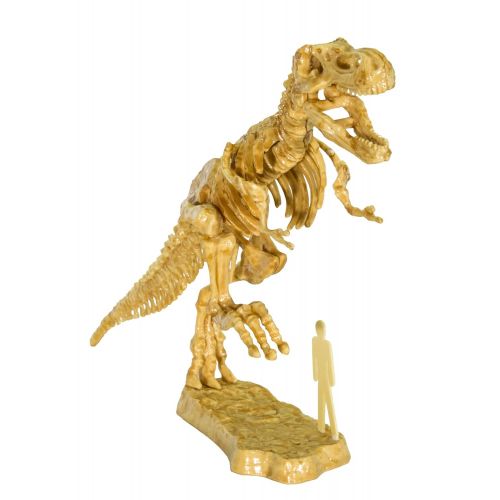  Thames & Kosmos I Dig It! Dinos 3D T. Rex Excavation | Science Kit | Excavate A 3D Tyrannosaurus Rex Dinosaur Skeleton | Paleontology | 2018 Oppenheim Toy Portfolio Platinum Award