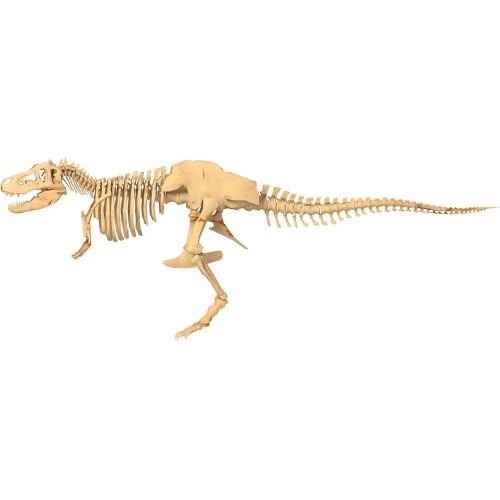  Thames & Kosmos Giant Dinosaur Skeleton Kit Science Experiment Kit