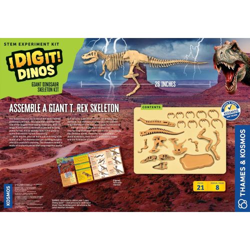  Thames & Kosmos Giant Dinosaur Skeleton Kit Science Experiment Kit