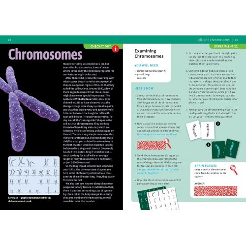  Thames & Kosmos Biology Genetics and DNA