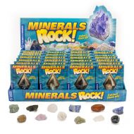 Thames & Kosmos Rock Gift Set-24 Mineral Specimens for Collectors Collection