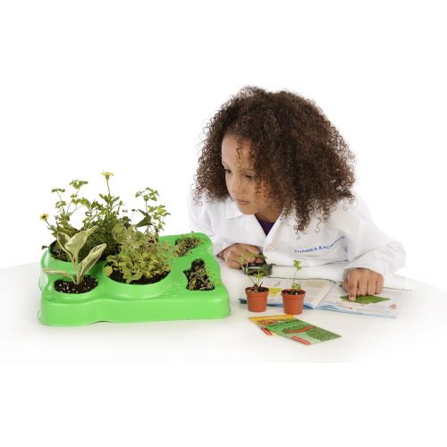  Thames & Kosmos Kids First Botany - Experimental Greenhouse Kit, Model:567004
