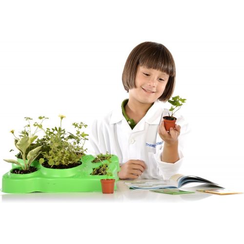  Thames & Kosmos Kids First Botany - Experimental Greenhouse Kit, Model:567004