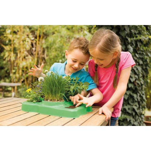  Thames & Kosmos Kids First Botany - Experimental Greenhouse Kit, Model:567004