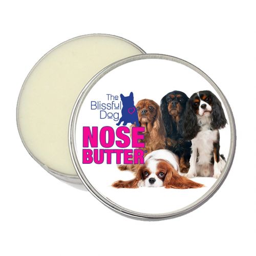  The Blissful Dog All Cavalier King Charles Spaniel Nose Butter  Dog Nose Butter, 8 Ounce