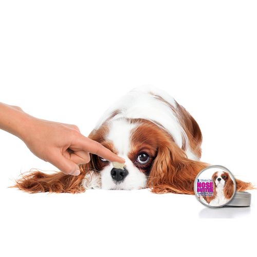  The Blissful Dog All Cavalier King Charles Spaniel Nose Butter  Dog Nose Butter, 8 Ounce