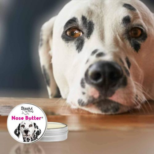  The Blissful Dog Nose Butter for Dry Dog Nose