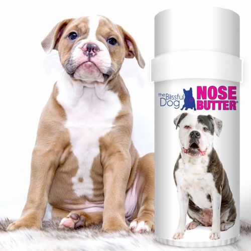  The Blissful Dog American Bulldog Unscented Nose Butter, 2-Ounce Tube