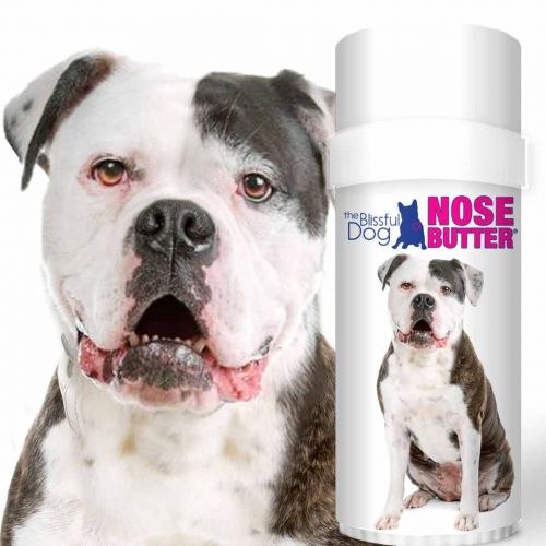  The Blissful Dog American Bulldog Unscented Nose Butter, 2-Ounce Tube
