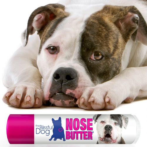  The Blissful Dog American Bulldog Nose Butter  Dog Nose Butter, 0.15 Ounce