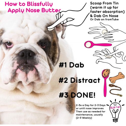  The Blissful Dog Nose Butter for Dry Dog Nose