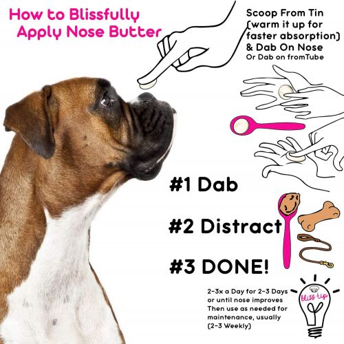  The Blissful Dog Nose Butter for Dry Dog Nose