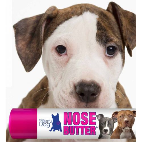  The Blissful Dog American Staffordshire Terrier Nose Butter - Dog Nose Butter, 0.15 Ounce