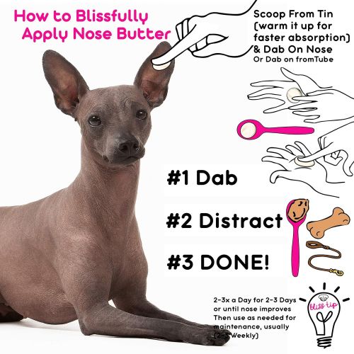  The Blissful Dog Nose Butter for Dry Dog Nose