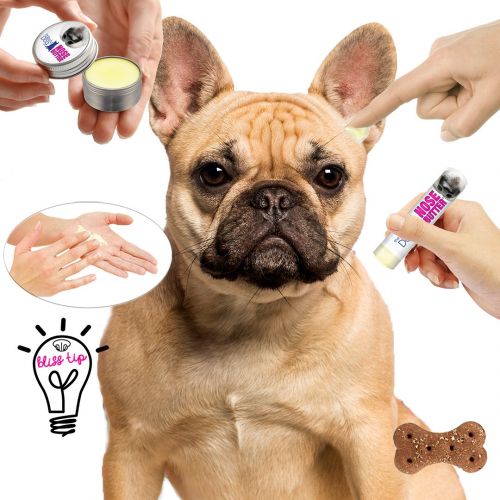  The Blissful Dog All 4 French Bulldog Nose Butter - Dog Nose Butter, 1 Ounce